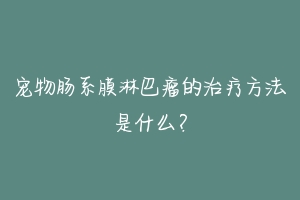 宠物肠系膜淋巴瘤的治疗方法是什么?