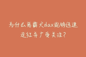为什么恶霸犬dax能够迅速走红并广受关注?