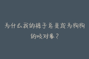 为什么我的裤子总是成为狗狗的咬对象?