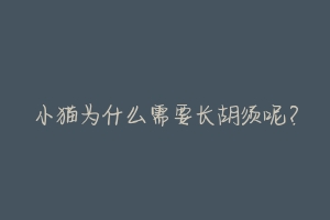 小猫为什么需要长胡须呢?