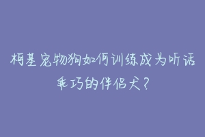 柯基宠物狗如何训练成为听话乖巧的伴侣犬?