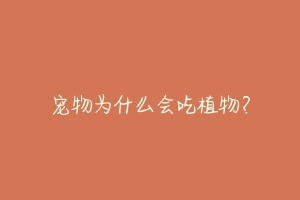 宠物为什么会吃植物?