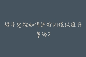 战斗宠物如何进行训练以提升等级?