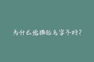 为什么给猫起名字不好?