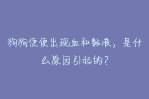 狗狗便便出现血和黏液,是什么原因引起的?
