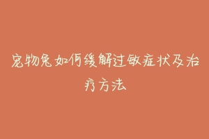 宠物兔如何缓解过敏症状及治疗方法