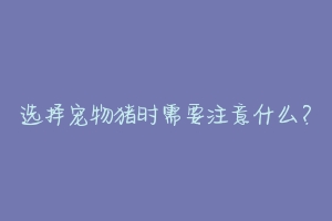 选择宠物猪时需要注意什么?