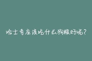 哈士奇应该吃什么狗粮好呢?