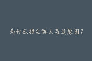 为什么猫会舔人及其原因?