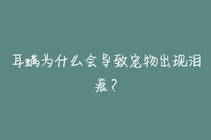 耳螨为什么会导致宠物出现泪痕?