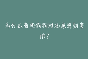 为什么有些狗狗对洗澡感到害怕?