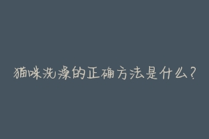 猫咪洗澡的正确方法是什么?