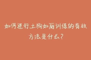 如何进行土狗如厕训练的有效方法是什么?