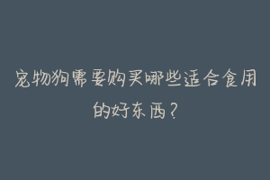 宠物狗需要购买哪些适合食用的好东西?