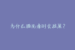 为什么猫洗澡时会拉屎?