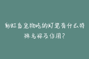 彩虹岛宠物吃的灯笼有什么特殊名称及作用?