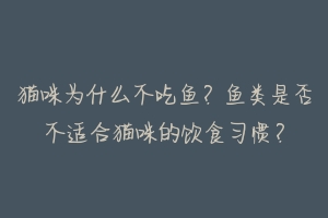 猫咪为什么不吃鱼?鱼类是否不适合猫咪的饮食习惯?