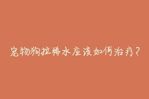 宠物狗拉稀水应该如何治疗?