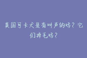英国可卡犬是有叫声的吗?它们掉毛吗?