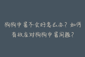狗狗中暑不会好怎么办?如何有效应对狗狗中暑问题?