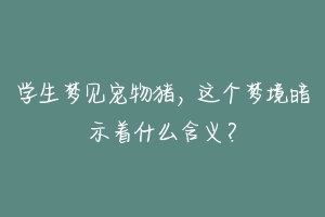 学生梦见宠物猪,这个梦境暗示着什么含义?