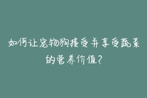 如何让宠物狗接受并享受蔬菜的营养价值?