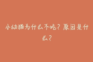 小幼猫为什么不吃？原因是什么？