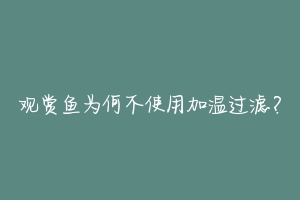 观赏鱼为何不使用加温过滤?