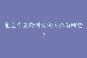 魔之谷宠物训练的方法有哪些?