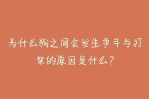为什么狗之间会发生争斗与打架的原因是什么?