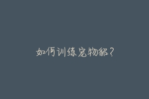 如何训练宠物貂?