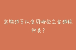 宠物猫可以食用哪些主食猫粮种类？