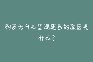 狗皮为什么呈现黑色的原因是什么?