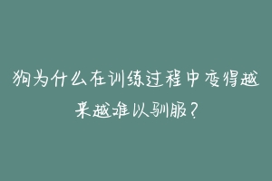 狗为什么在训练过程中变得越来越难以驯服?
