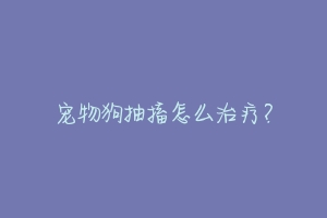 宠物狗抽搐怎么治疗?