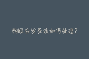 狗眼白发炎该如何处理?