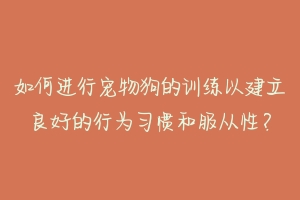 如何进行宠物狗的训练以建立良好的行为习惯和服从性?