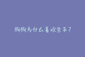 狗狗为什么喜欢坐车?