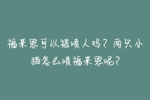 福来恩可以被喷人吗？两只小猫怎么喷福来恩呢？
