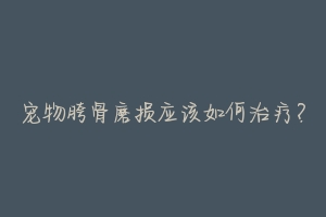 宠物胯骨磨损应该如何治疗?