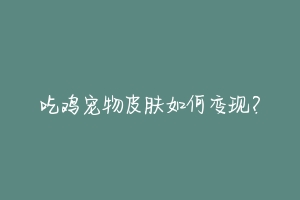 吃鸡宠物皮肤如何变现？
