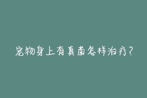 宠物身上有真菌怎样治疗?