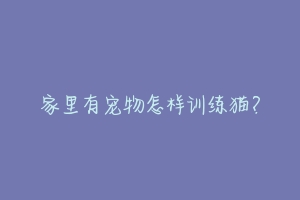 家里有宠物怎样训练猫?