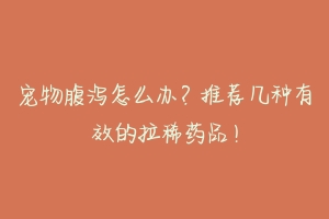 宠物腹泻怎么办?推荐几种有效的拉稀药品!