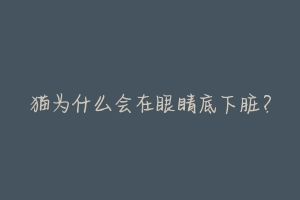 猫为什么会在眼睛底下脏?