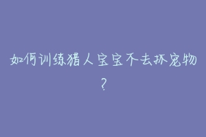 如何训练猎人宝宝不去抓宠物?
