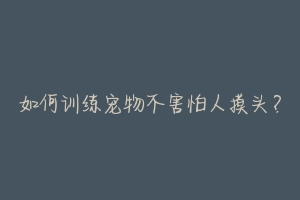 如何训练宠物不害怕人摸头?