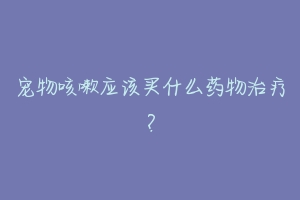 宠物咳嗽应该买什么药物治疗?