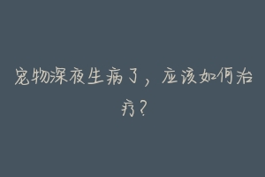 宠物深夜生病了,应该如何治疗?