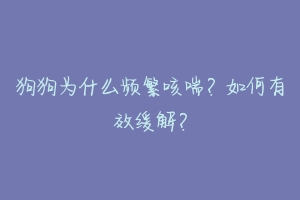 狗狗为什么频繁咳喘?如何有效缓解?